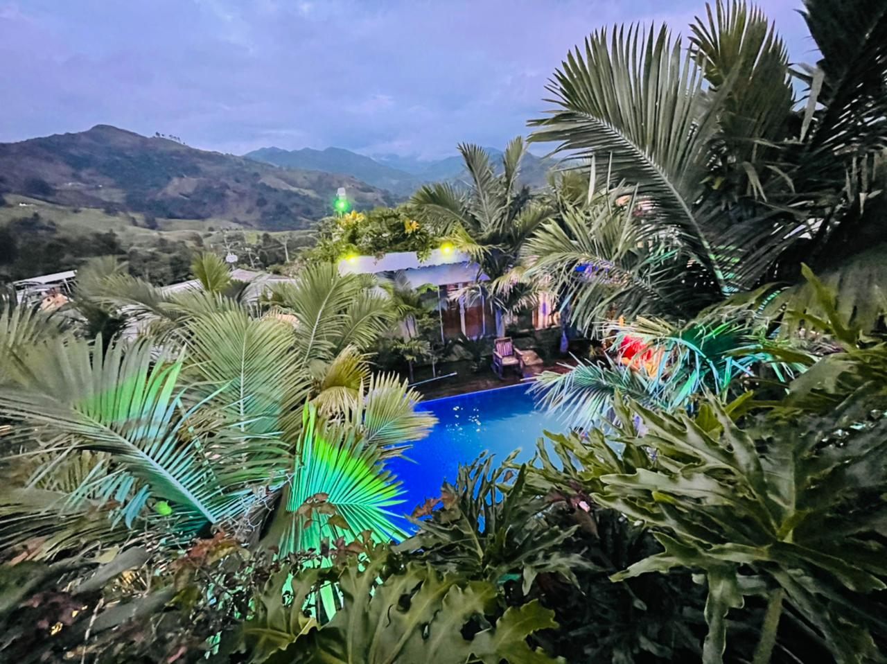 Jardín